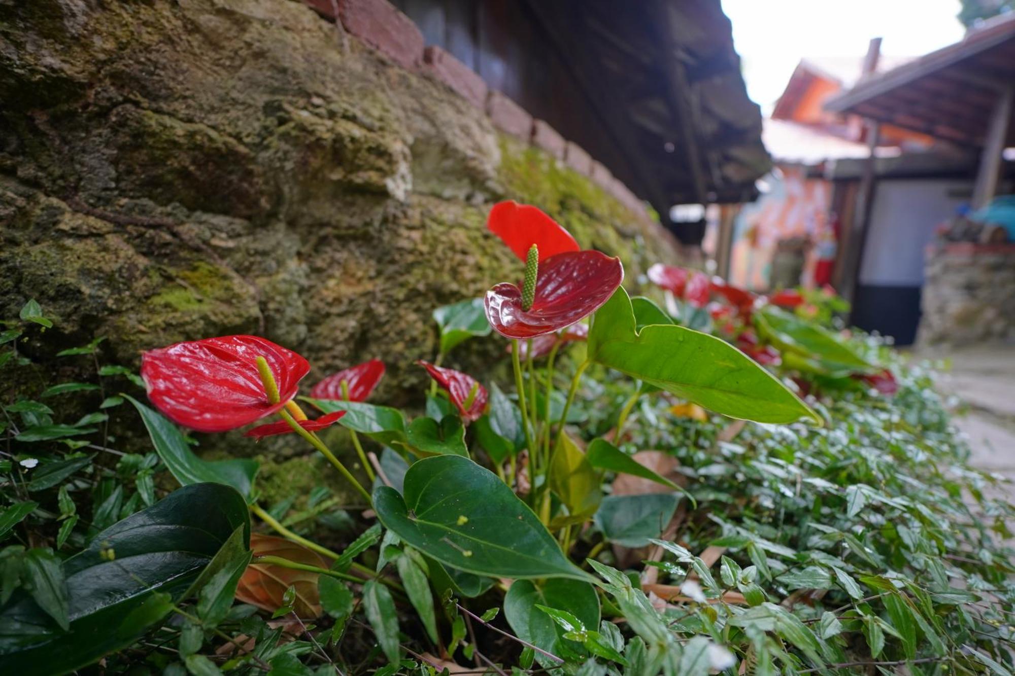Casa Da Ilha & Spa Abraão Zewnętrze zdjęcie